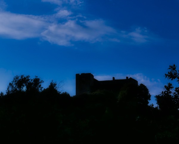 P1130510