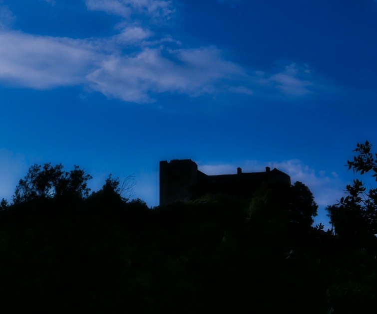 P1130510
