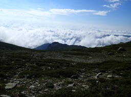 P6206910b